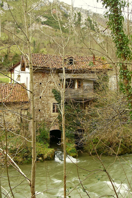 camin-de-la-reina
